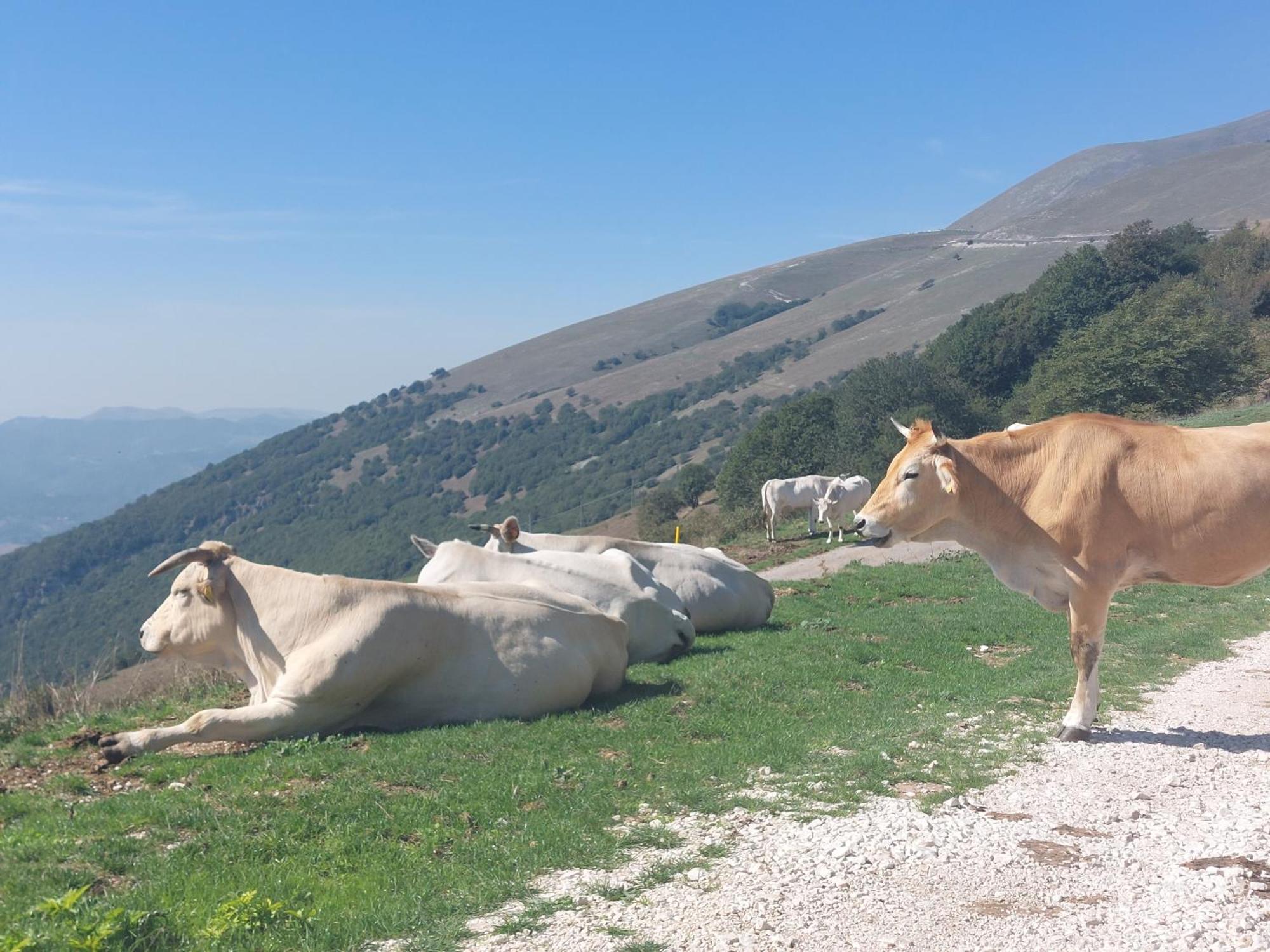 B&B Fonte Fresca Fabriano Bagian luar foto